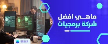 ماهى افضل شركة برمجيات